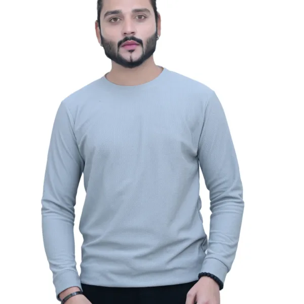 Solid Plain Full Sleeves Self Print Round Neck Gray Color T shirt