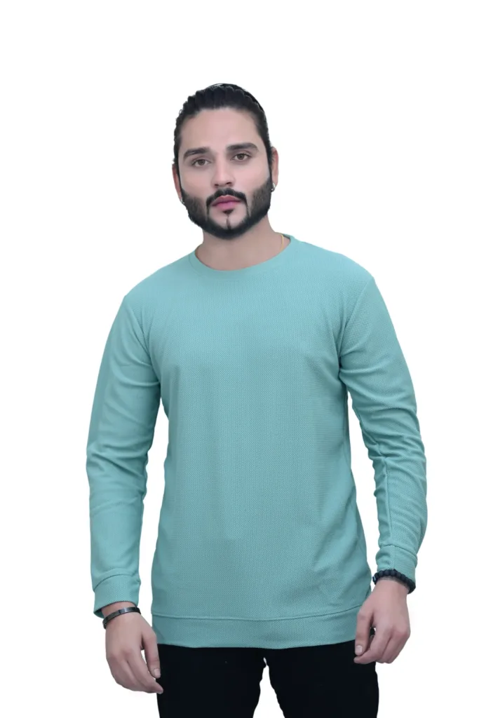 Solid Plain Full Sleeves Self Print Round Neck Sea Green Color T shirt